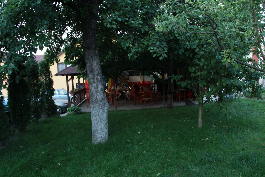 Pensiunea Blanca Reghin Dış mekan fotoğraf